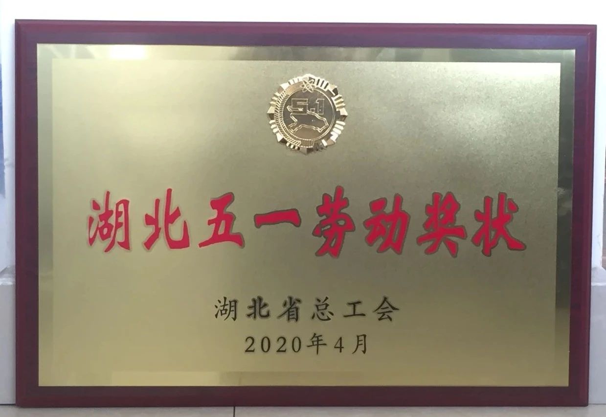 喜讯||开云网页版登录入口重工又获省级殊荣